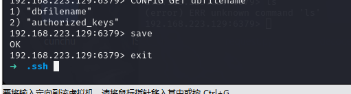 image-20240614220706573